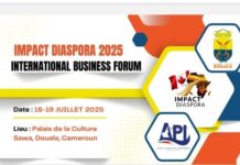 Entrepreneuriat Africain : La Diaspora se donne rdv à Douala