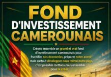 Cameroun : SOSUCAM : Pourquoi la Diaspora reste-t-elle spectatrice ? Les milliards de la diaspora, une force encore dispersée