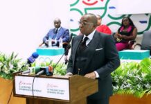 Cameroun – GECAM : l’Etat prélève, mais n’investit plus !