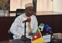 Artisanat : Le Cameroun veut reprendre le contrôle