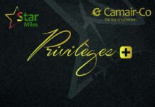 Camair-Co prend son envol vers le privilège